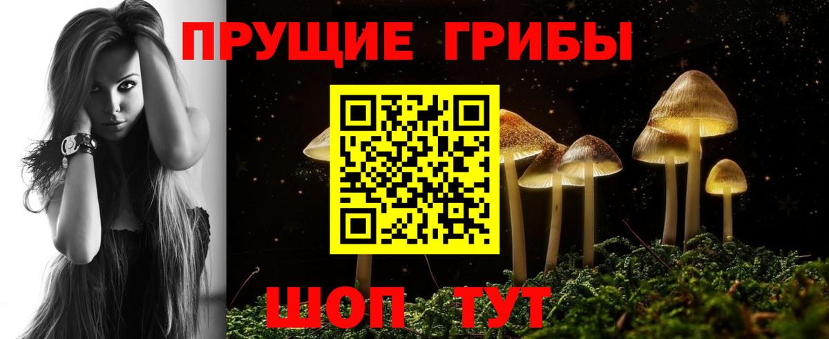 Псилоцибиновые грибы MAGIC MUSHROOMS  Вход с VPN  Сорочинск 